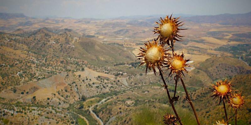 多温区面包展示柜应用指南：如何科学陈列法棍、蛋糕与冷藏甜点