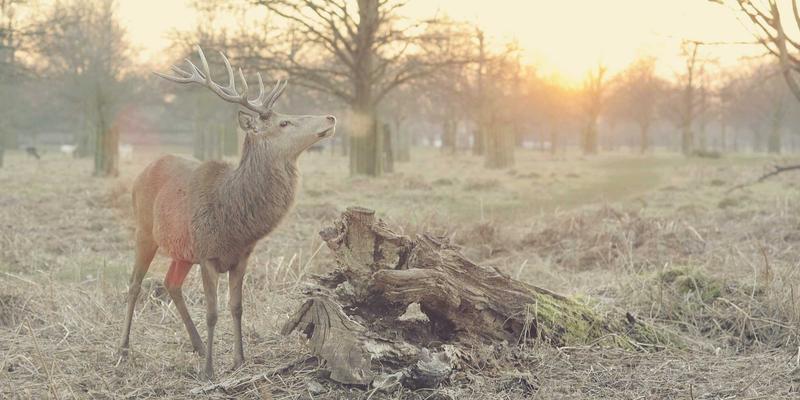 烤箱与面包展示柜空间革命：模块化层架如何提升烘焙设备展示力与容量