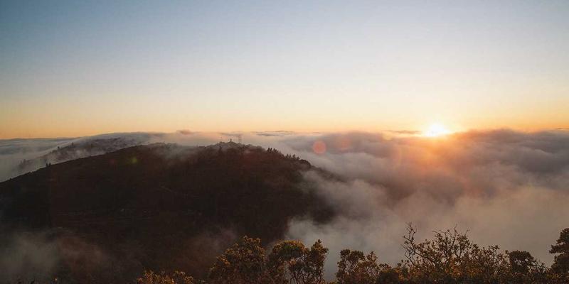 节能面包柜选购指南：食品展示与烤箱的省电技巧与最新技术解析