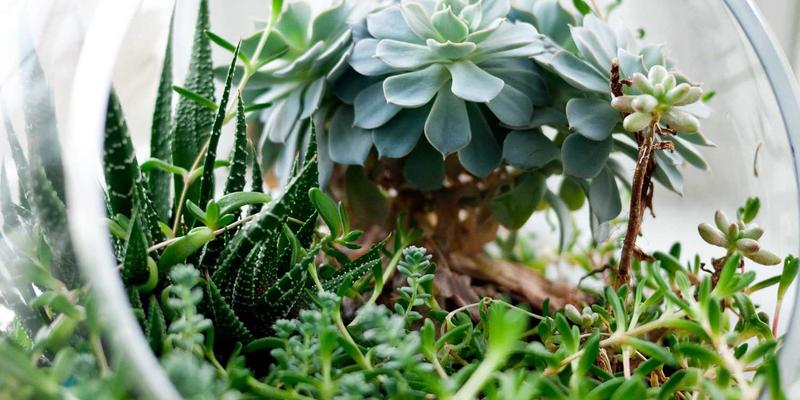 面包柜7：重新定义烘焙解决方案的智能展示艺术