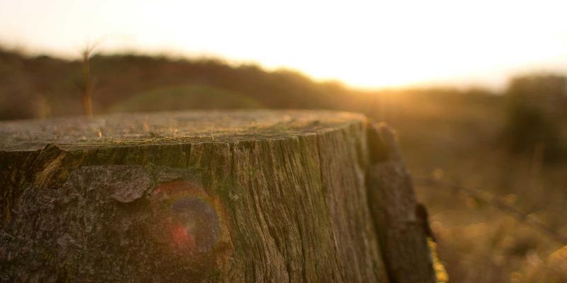 面包柜与店铺整体视觉营销：如何通过灯光和陈列提升购买欲
