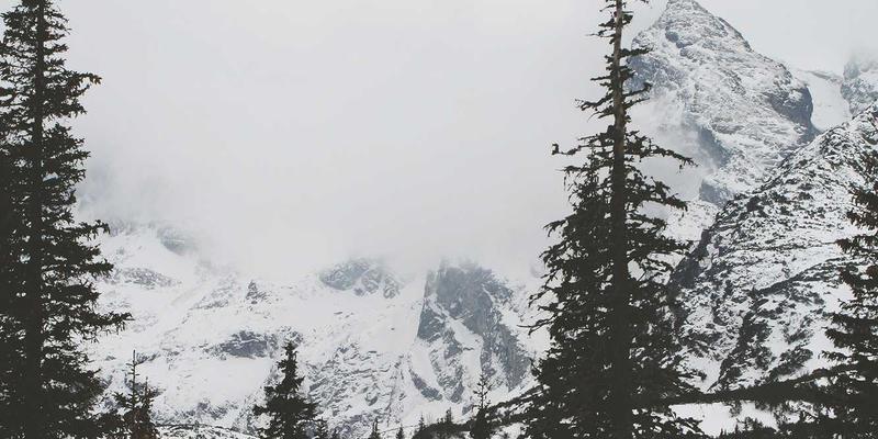 面包柜展示高度的人体工程学奥秘：优化顾客视线提升销量的烘焙解决方案