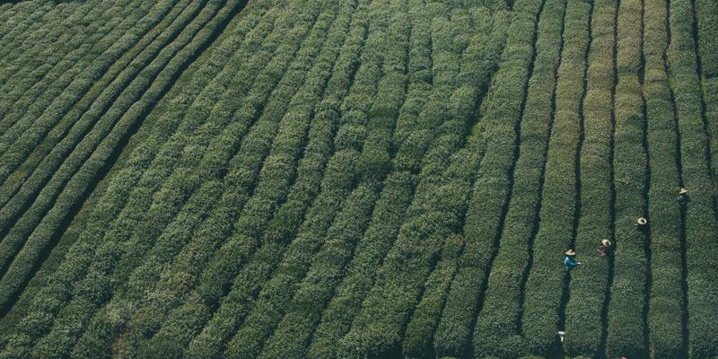 面包柜玻璃门材质对比：钢化玻璃与普通玻璃，哪种才是您的理想烘焙解决方案？