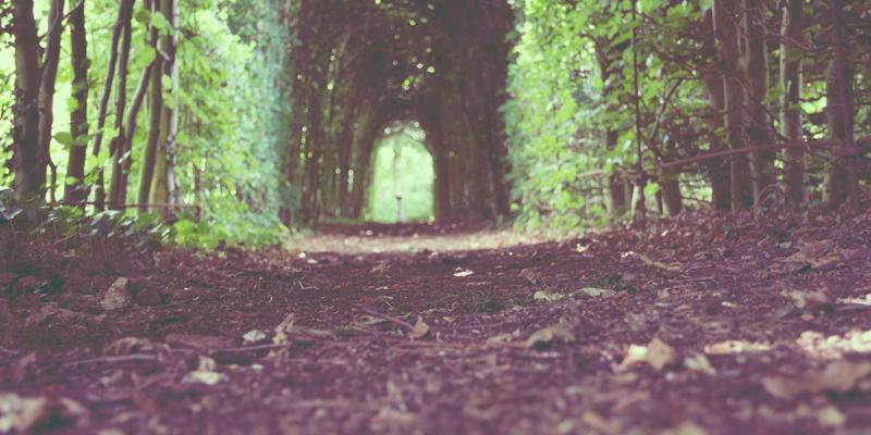 面包柜空间规划艺术：巧用烘焙工具与分区策略提升食品展示效率