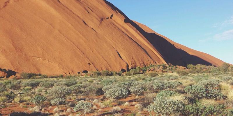 面包柜陈列艺术：优化层板高度与角度，提升烘焙设备展示效果与销量