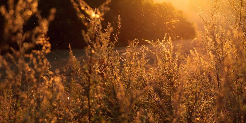 高端烘焙店面包展示柜选购全攻略：在预算内实现品牌、功能与设计感的完美平衡